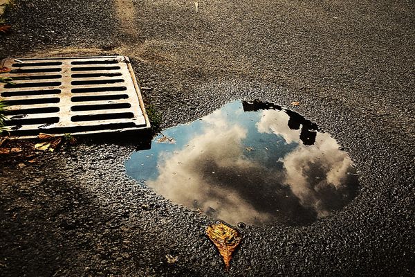 Grille d'avaloir et flaque d'eau de pluie sur une chaussée